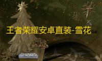 王者荣耀安卓直装-雪花辅助